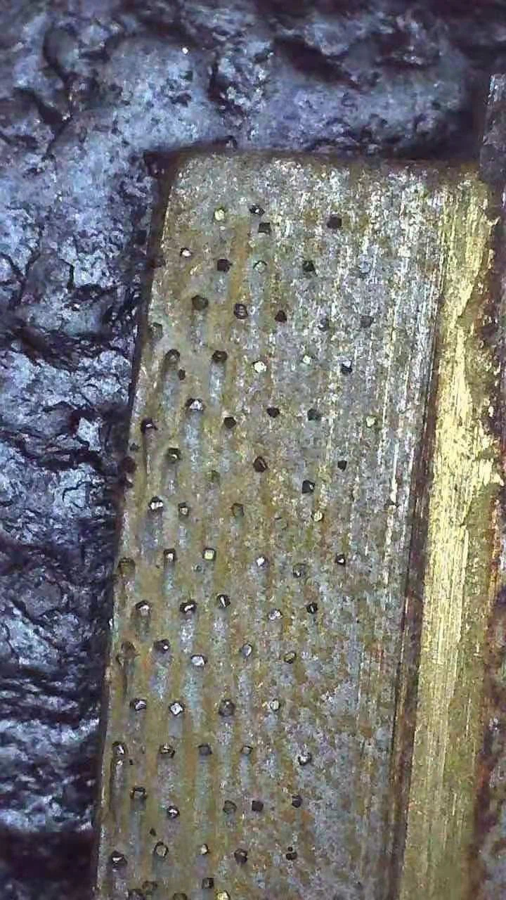 Stone cutting diamond segments (7)